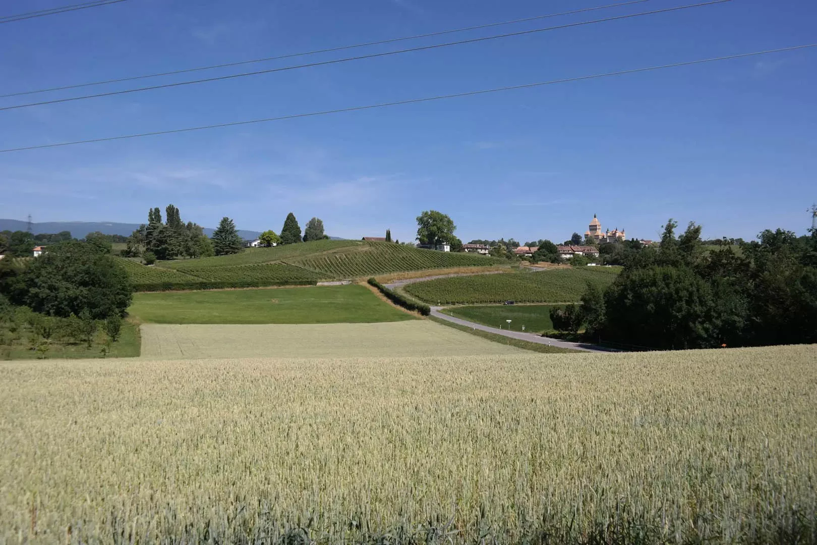 Marché immobilier à Chigny sur la Côte vaudoise